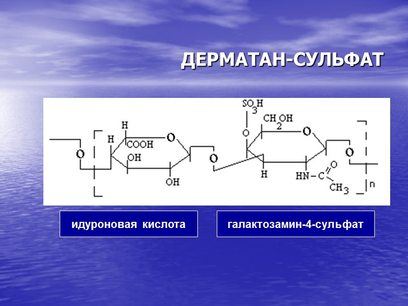 ДЕРМАТАН-СУЛЬФАТ  идуроновая кислота галактозамин-4-сульфат